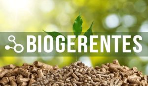 Cuarta Sesión del Programa de Biogerentes de CRbiomed