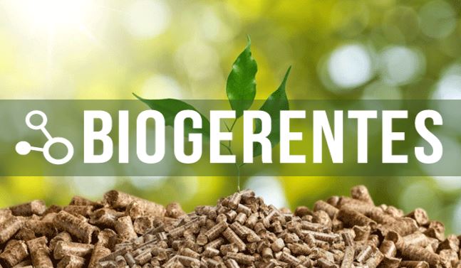 Cuarta Sesión del Programa de Biogerentes de CRbiomed