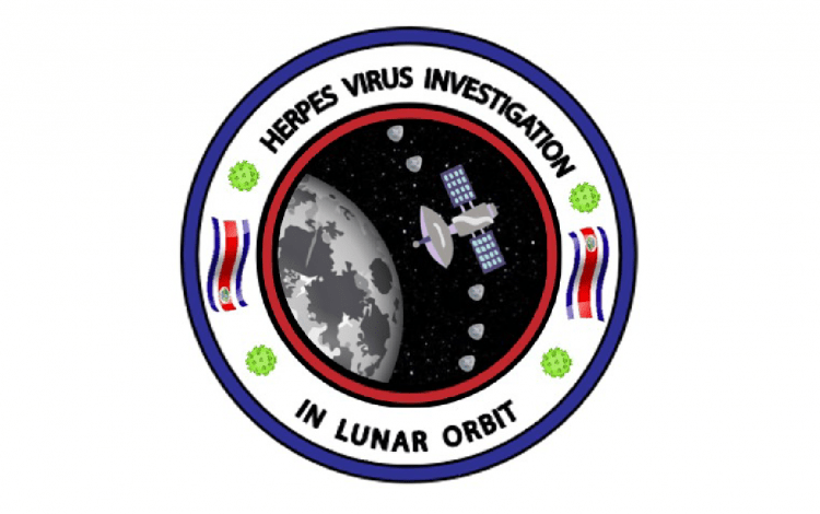 Perturbando el virus del Herpes, investigación en órbita lunar: un sistema para el análisis de células animales