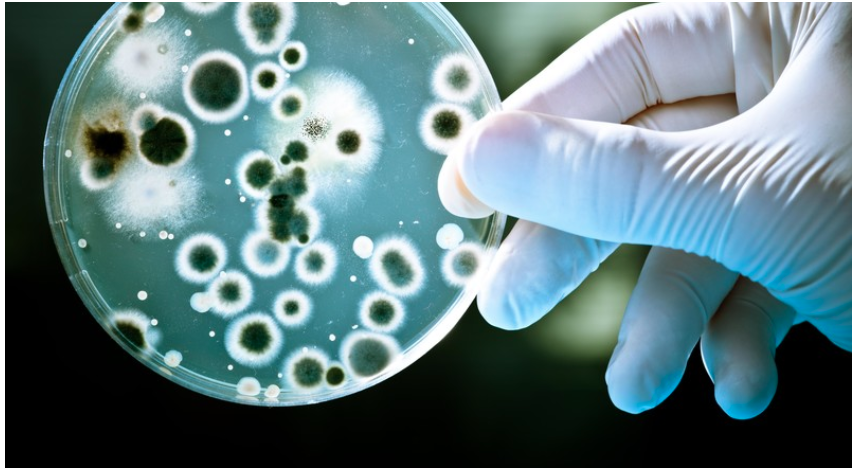 Resistencia a los antimicrobianos: La pandemia silenciosa