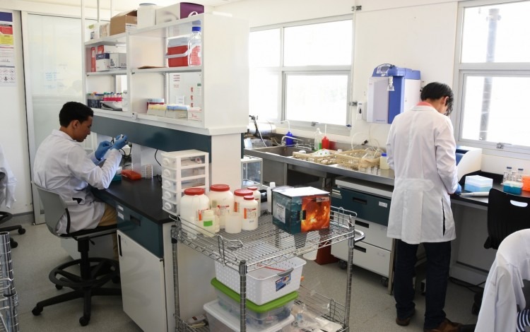 Ingeniería en Biotecnología consolida su calidad con reacreditación de SINAES