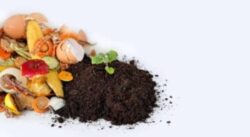Programa BioInnova Training