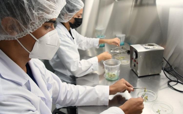 Universitarios buscan fondos para representar al país en Francia con proyecto espacial Biodomo