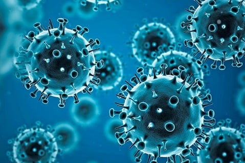 Costa Rican Scientists Make Progress in Road to Finding Treatment for Coronavirus