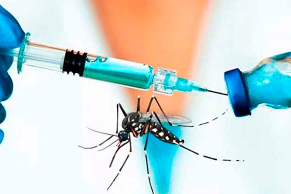 La FDA aprueba la primera vacuna del mundo contra el virus chikungunya