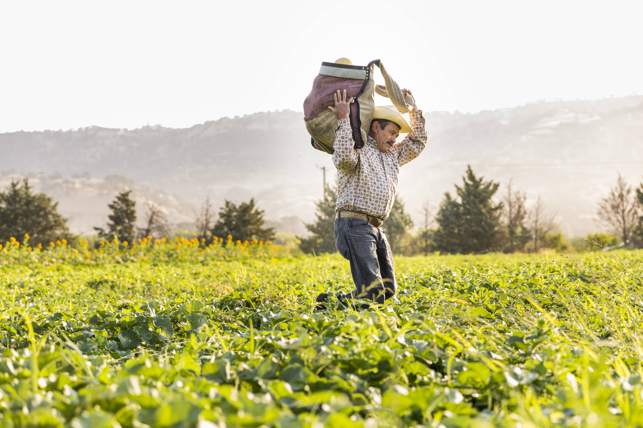 Opciones para el Futuro en Agro – Biotecnología