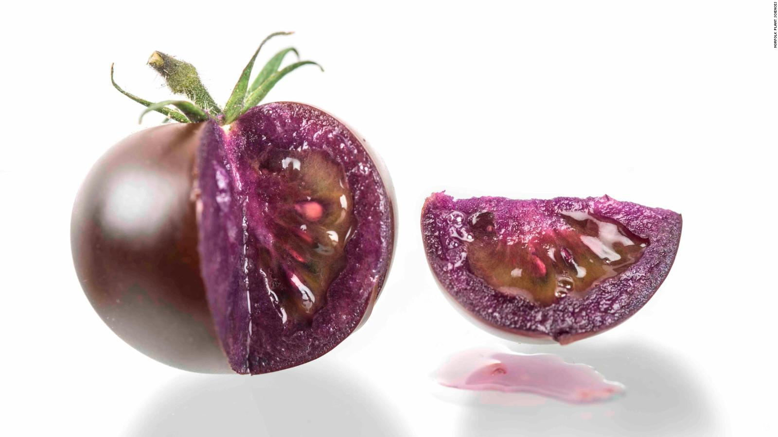 Tomates Morados Biotecnológicos y Extra Nutritivos