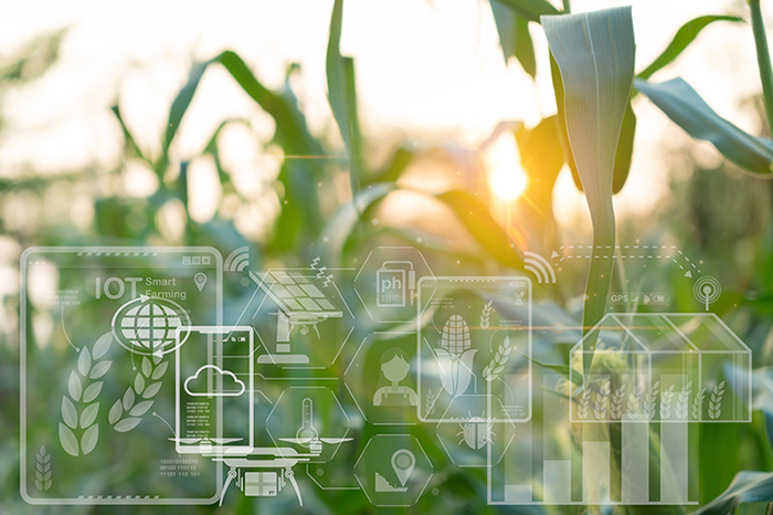 Protegido: La biotecnología refuerza la seguridad alimentaria en medio de los desafíos climáticos